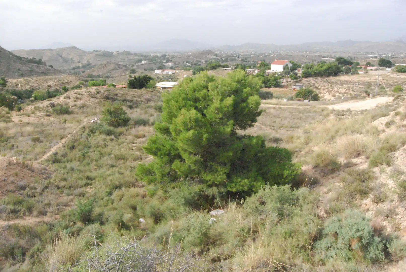 Terreno rustico in vendita a Valle del Sol, imagen 14