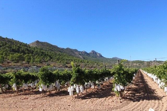 Terreno residencial en Venta en La Romana