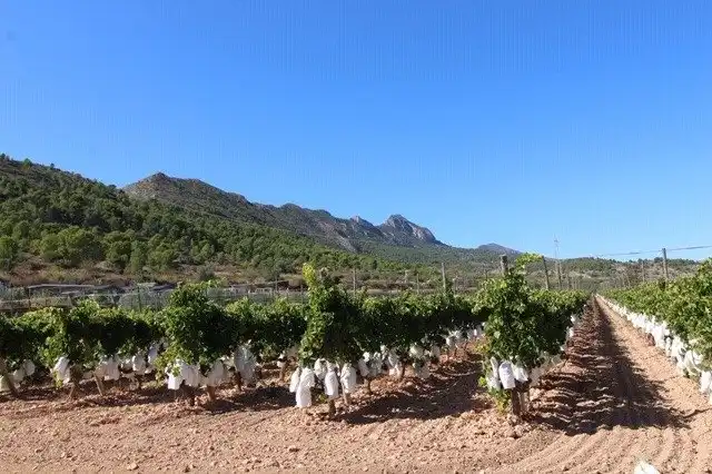 Terreny residencial en venda a La Romana