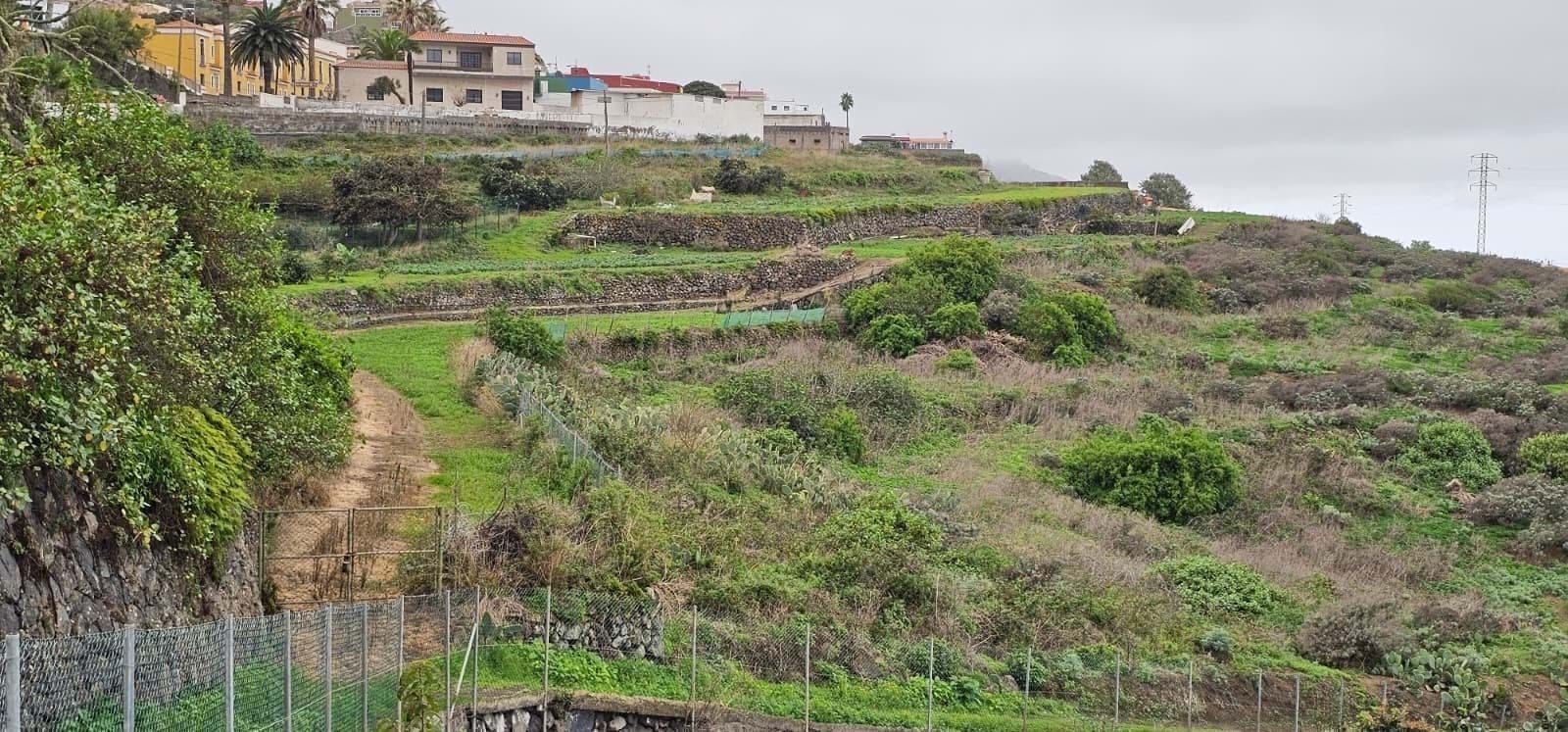 Land for sale in Garachico