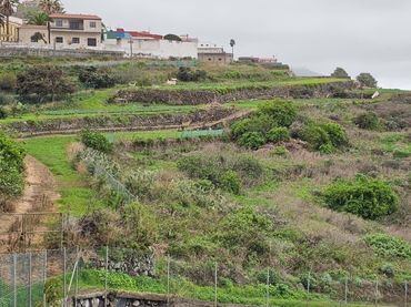 Rustikales Grundstück zum Verkauf in Garachico