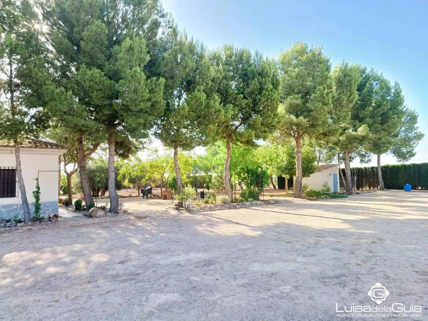 Terreno rustico in vendita a Campo de Criptana, imagen 5