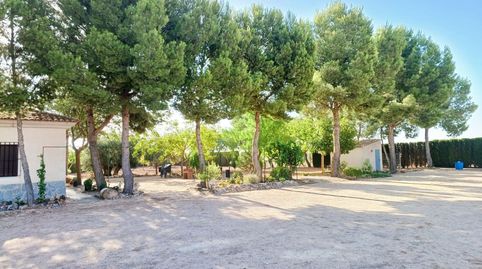 TERRENO EN VENTA, immagine 5