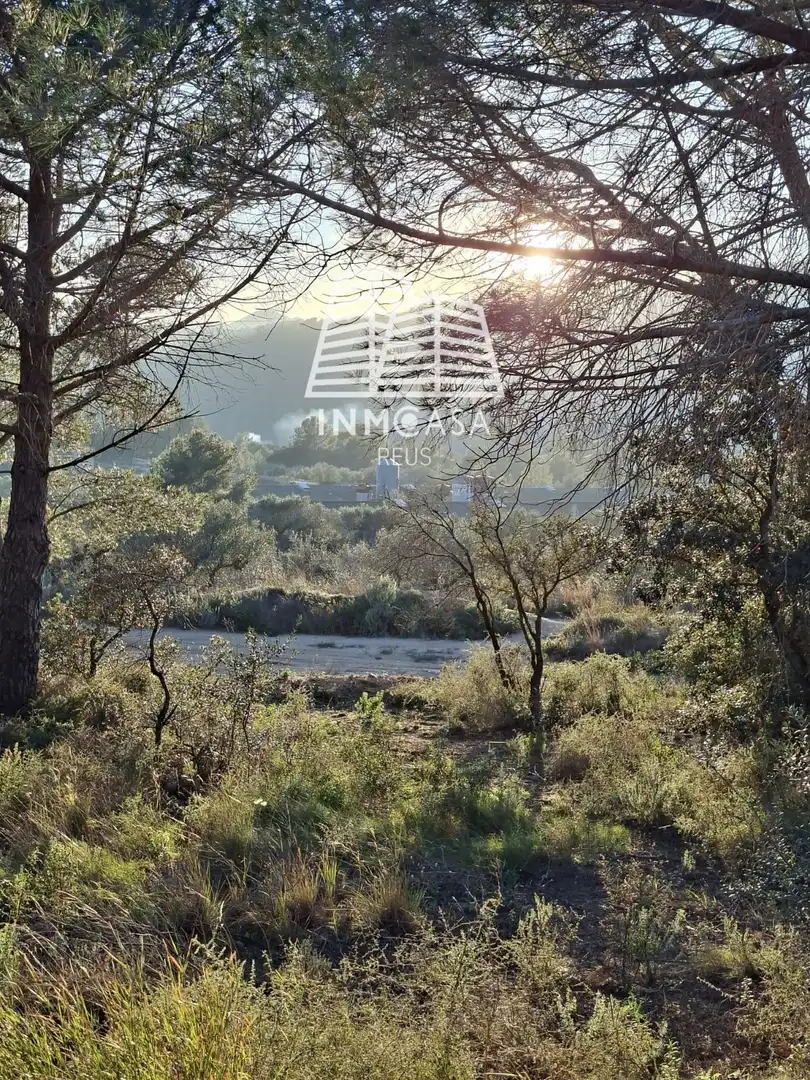 Land for sale in Les Borges del Camp