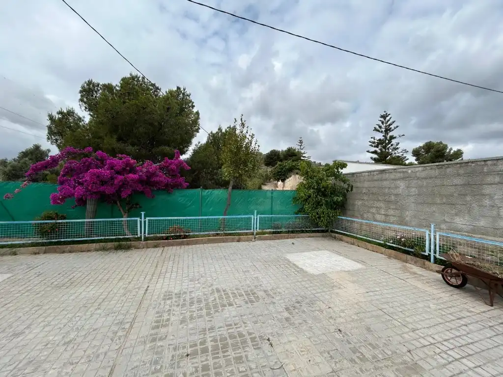 Vista exterior de Finca rústica en venda en Sagunto / Sagunt