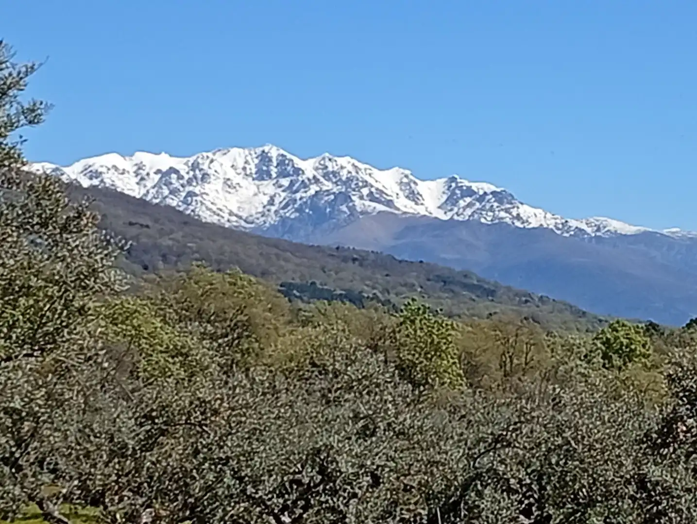 Terreni e lotti in vendita a Valverde de la Vera, imagen 80