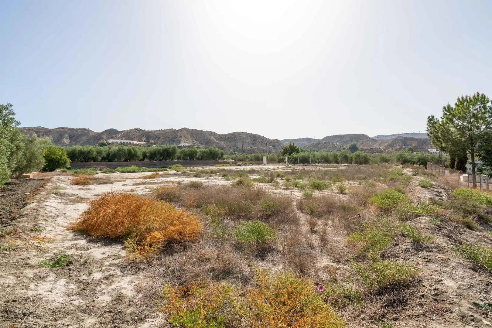 Residencial en venta en Alsodux
