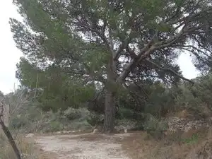 Terreny rústic en venda a Tibi, imagen 6