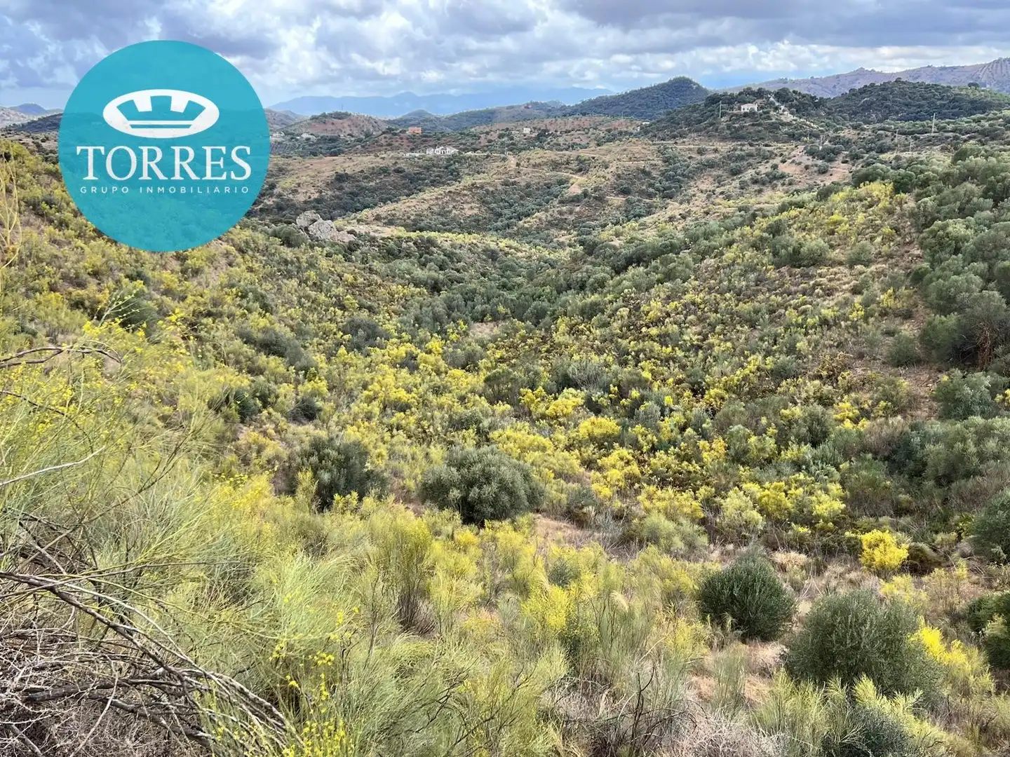 Terrenos y solares en venta en Polígono DISEMINADOS, imagen 5