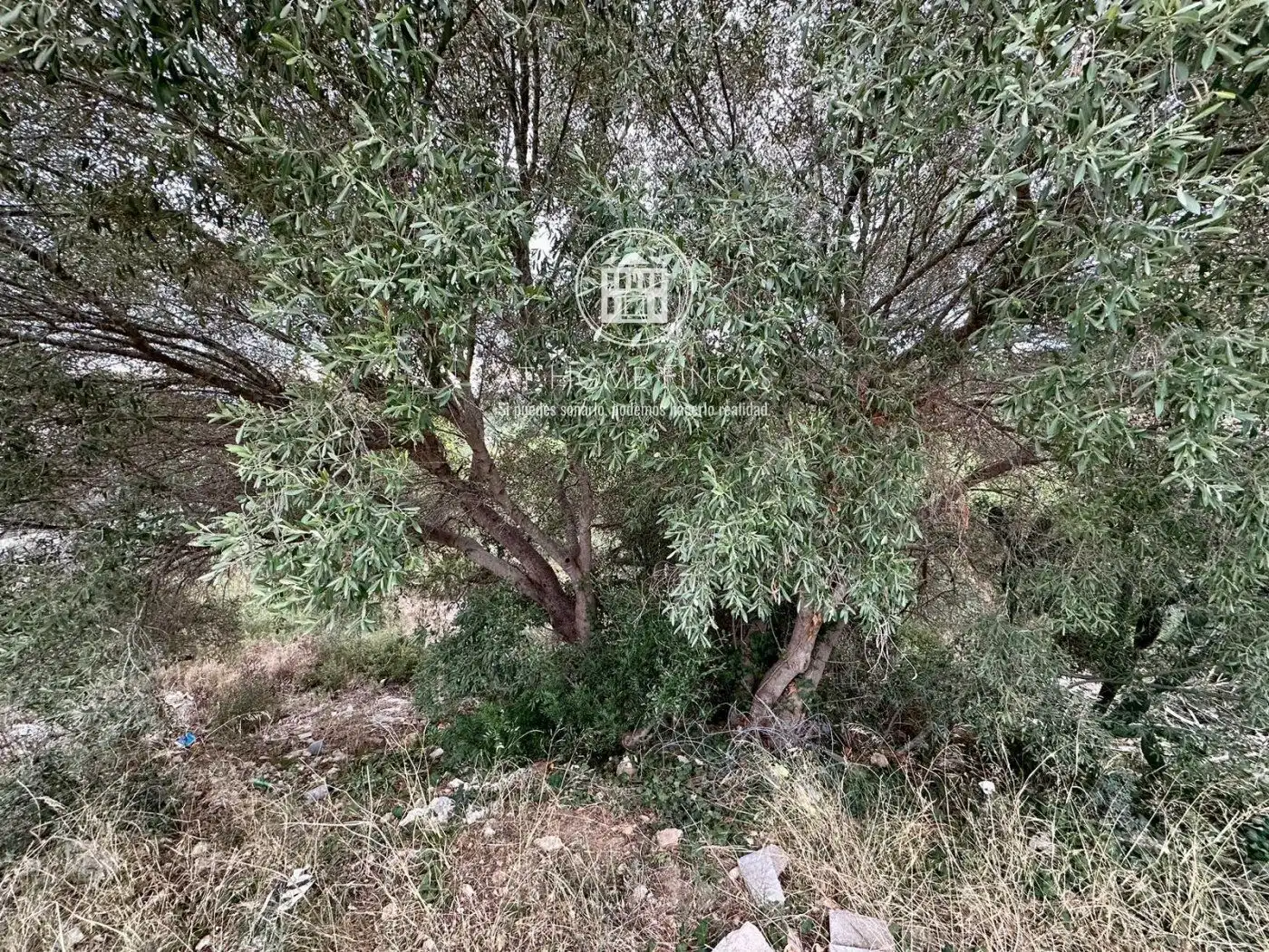Terreny rústic en venda a Iuca, imagen 7