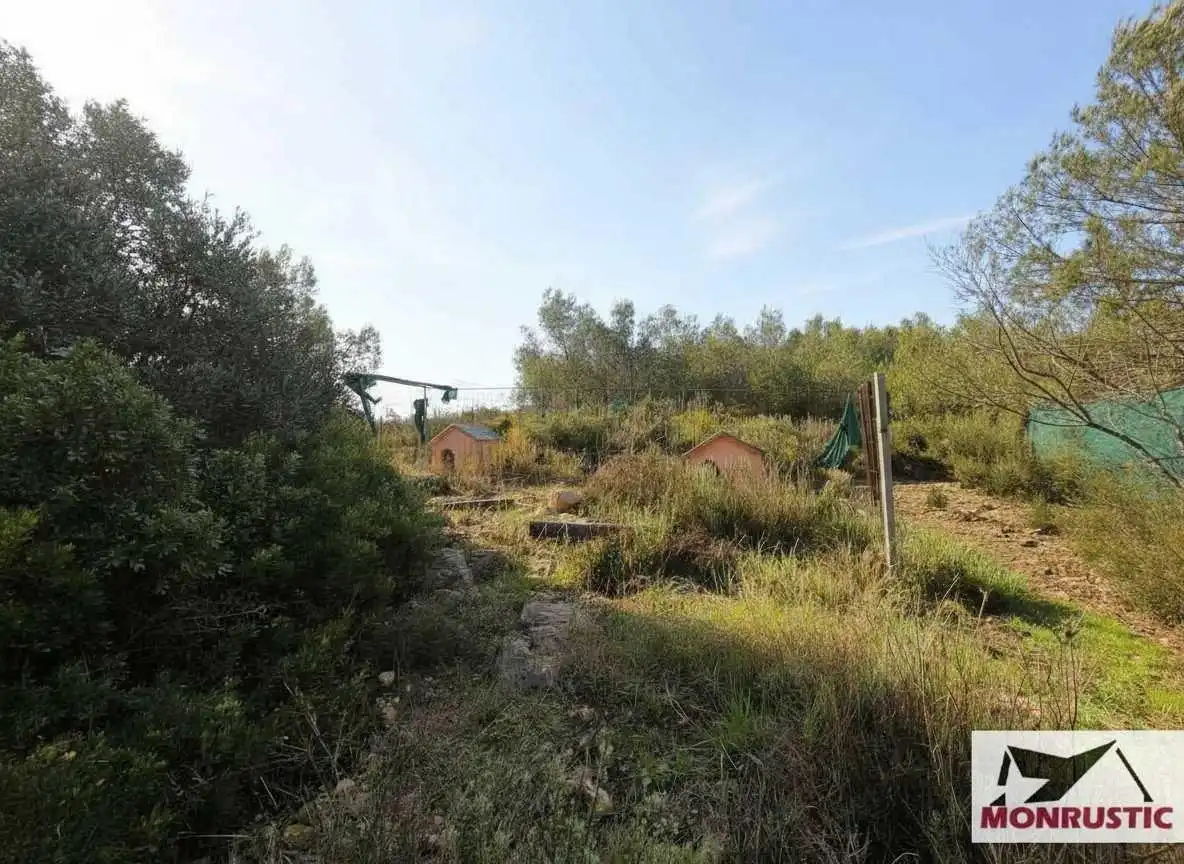Finca rústica en venta en Masllorenç