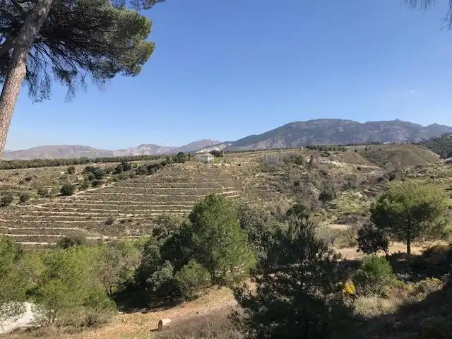 Grundstücke zum Verkauf in La Zubia