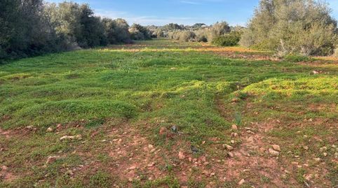 Foto 5 de Residencial en venta en Ses Salines Poble, Ses Salines
