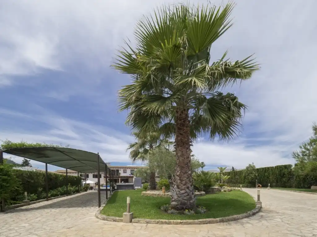 Landhaus mit Pool zum Verkauf in Pollença Poble, imagen 35