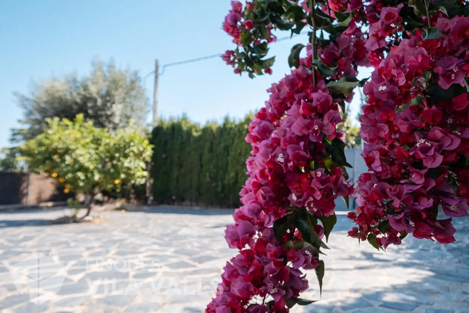 Villa à vendre à c de la rebassola, imagen 39