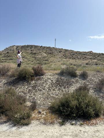 Terreno en Venta en Camino del Río, 26 en Corazón de María