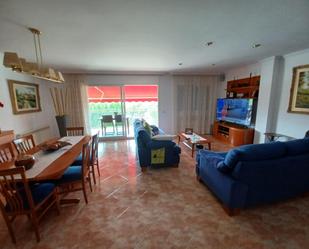 Sala d'estar de Casa o xalet en venda en Pineda de Mar amb Aire condicionat, Terrassa i Balcó