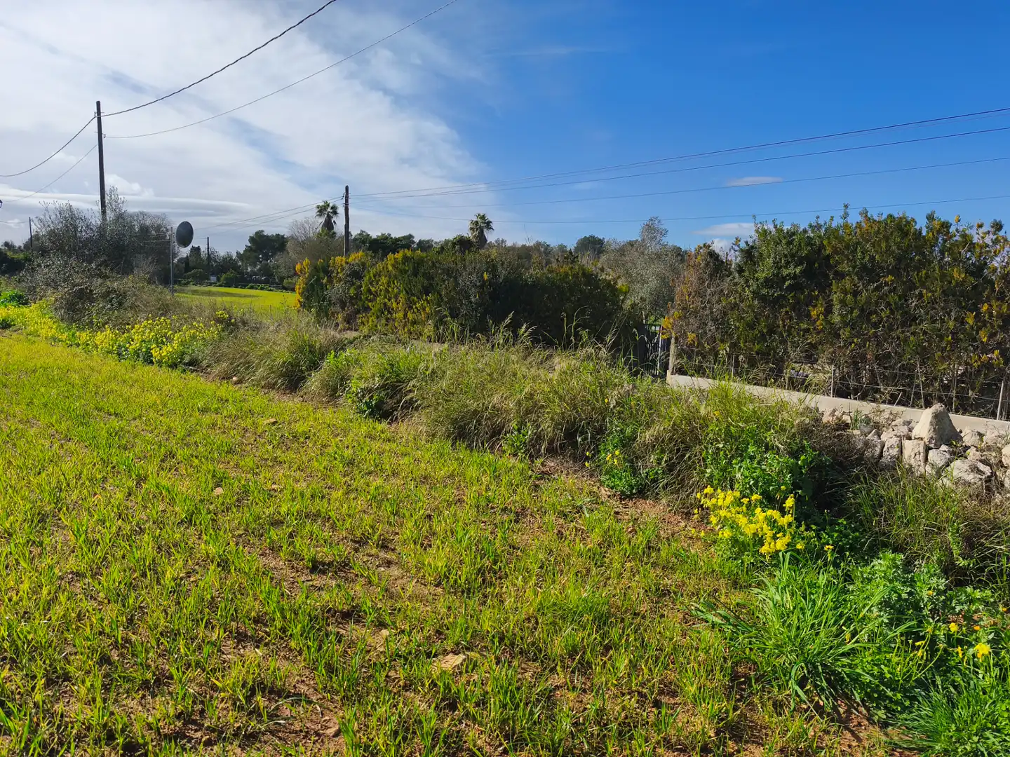 Terreno rustico in vendita a Lloret de Vistalegre, imagen 3