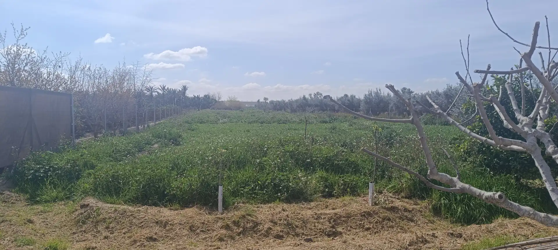 Country homes for sale in Camino del Almajal, Callosa de Segura