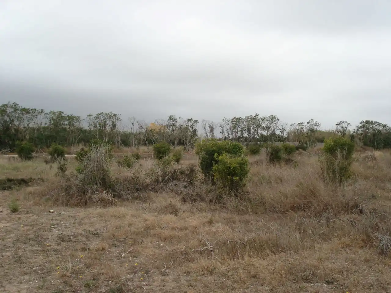 Terreny rústic en venda a El Marenyet, imagen 3