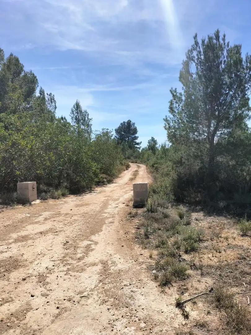 Terreno rustico in vendita a Polígono 10 Parcela 488 LA LOMA. NAVARRES (VALENC, imagen 15
