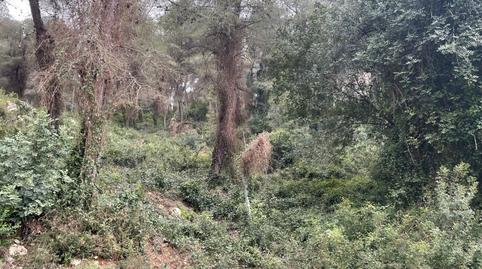 Foto 3 de Residencial en venta en Calle de Bonavista, 27, Carcaixent, Valencia