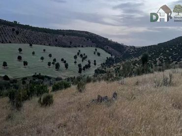 Terreni e lotti in vendita a Santa María  - Pío XII