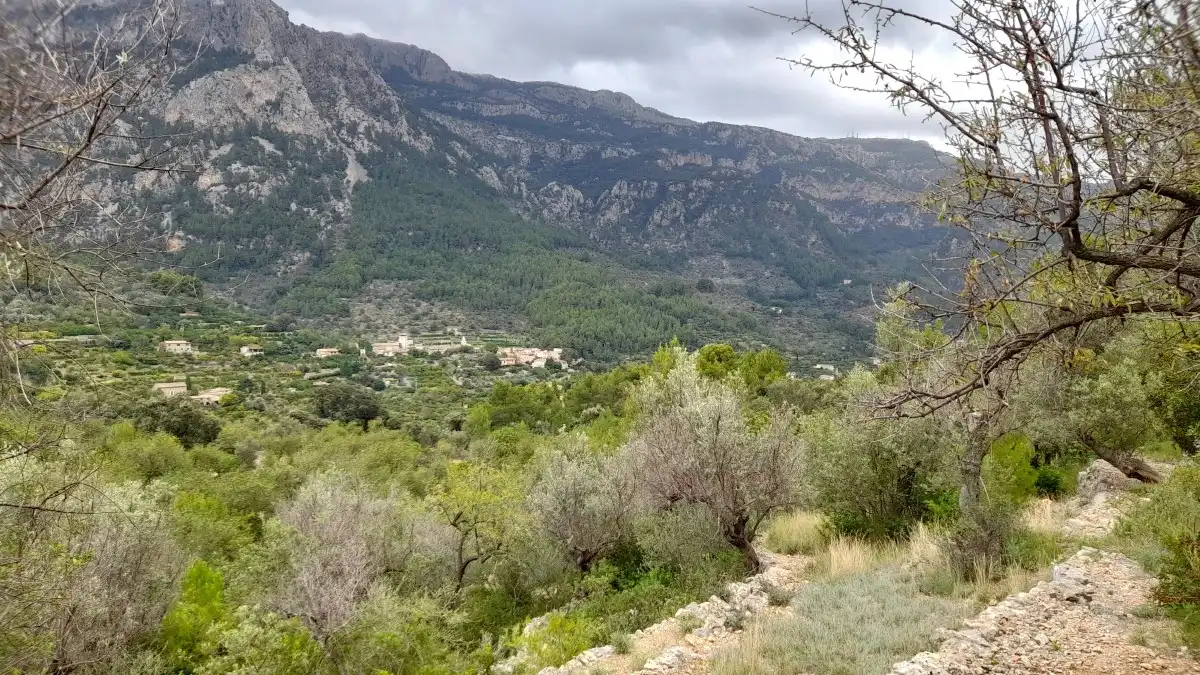 Terreny rústic en venda a Fornalutx, imagen 3