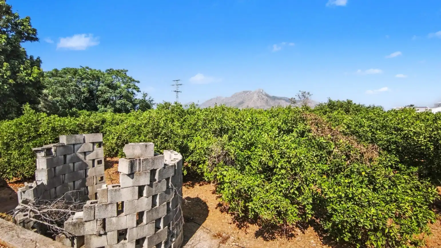 Lands and plots for sale in Ondara, imagen 10
