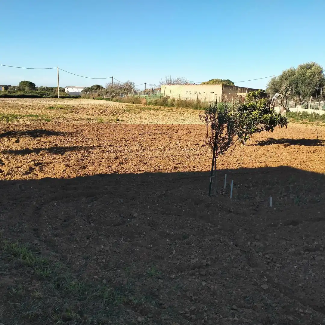 Lands and plots for sale in Los Franceses – La Vega, imagen 10