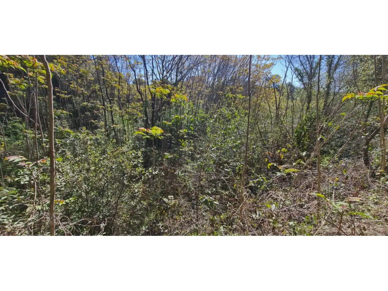 Rural land for sale in Lliçà d'Amunt, imagen 26