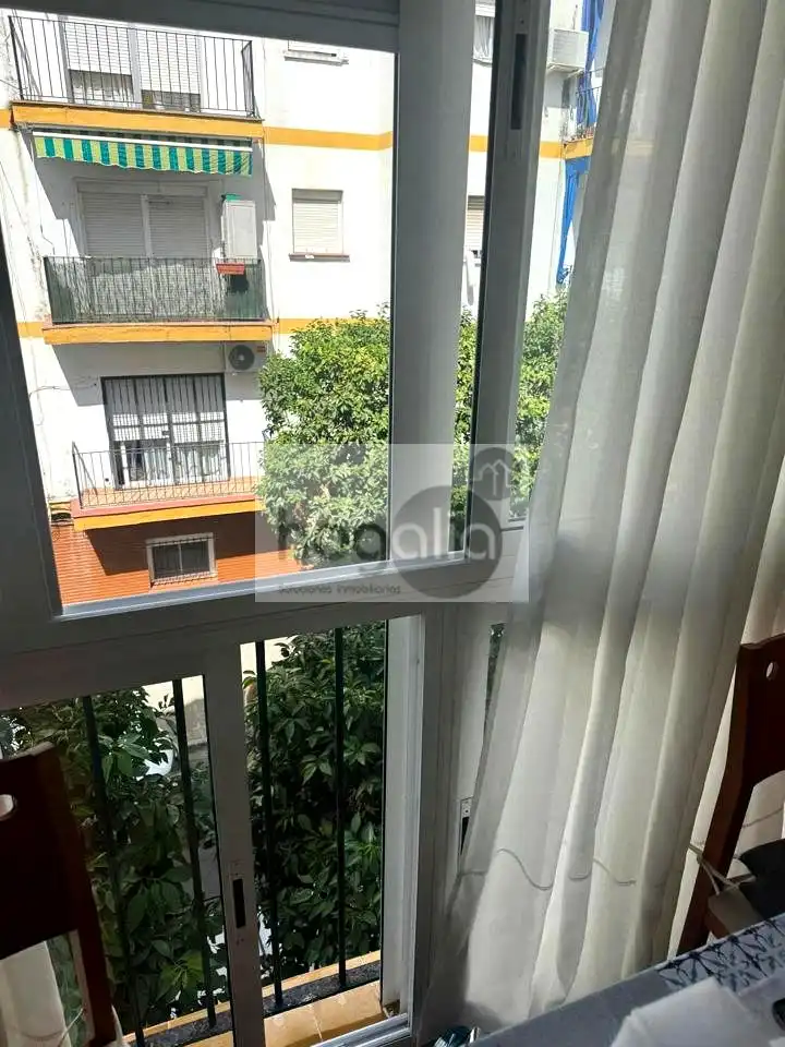 Appartement à louer à Sur, imagen 6