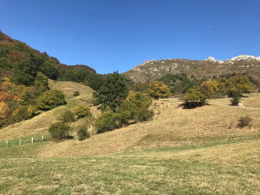 Land for sale in Vega de Liébana