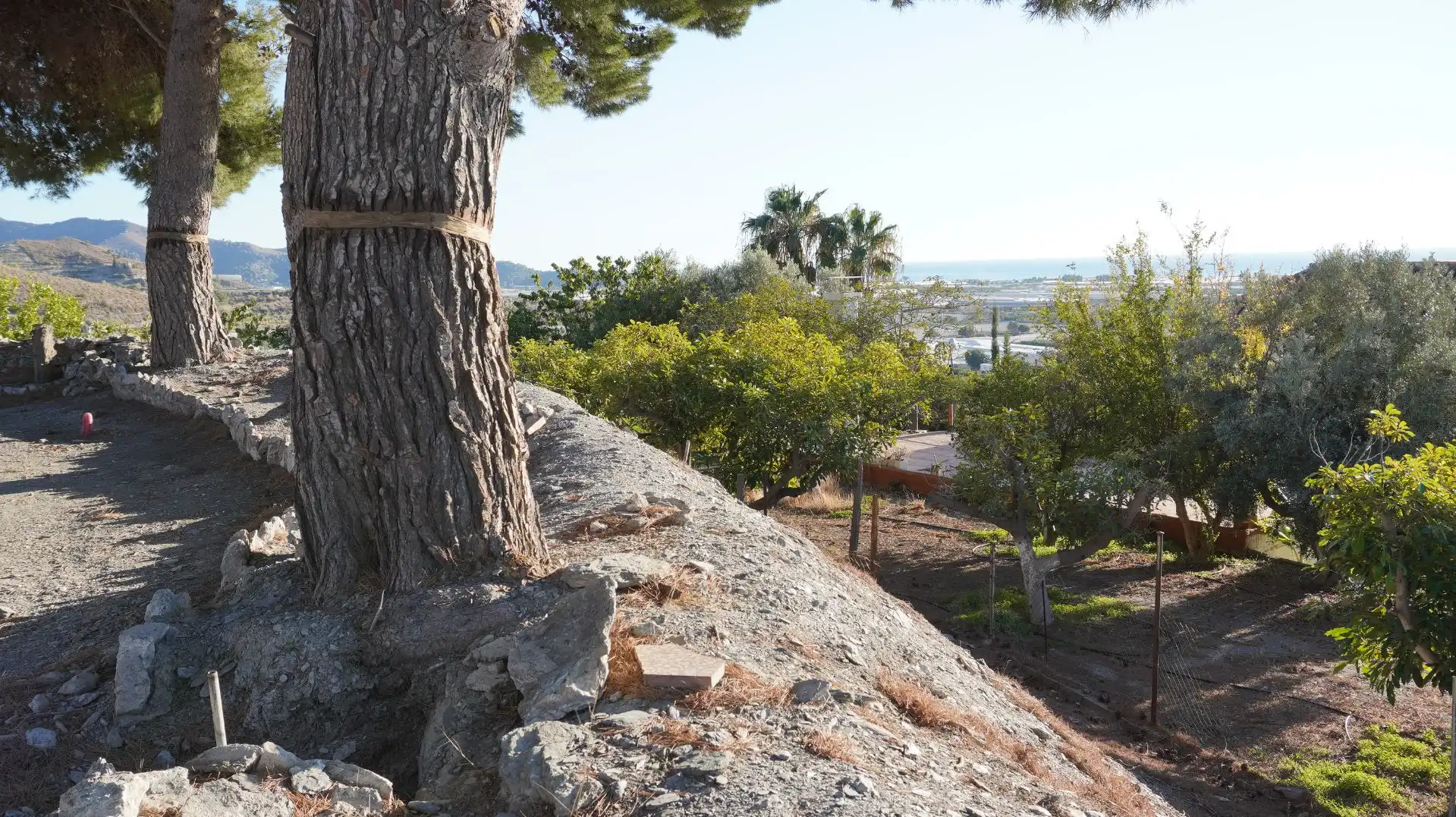 Finca rústica en venta en Motril con Jardín privado, Terraza y Trastero