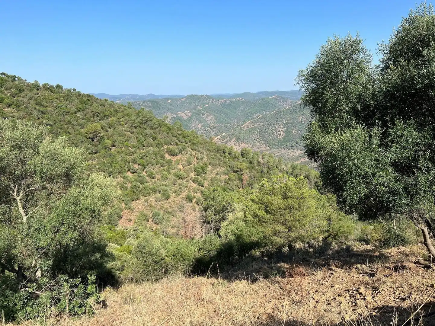 Grundstücke und Bauplätze zum Verkauf in Sureste, imagen 10