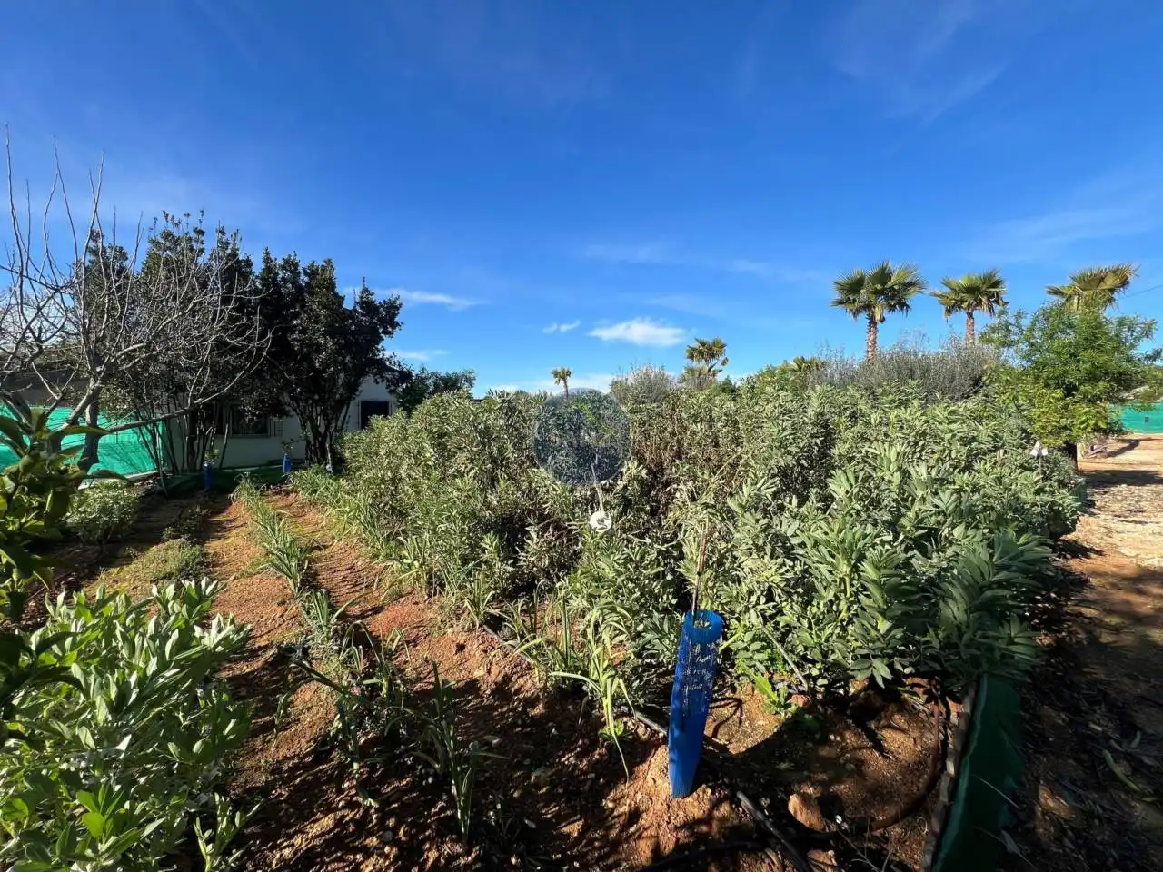 Xalet amb jardí en venda a Poligono Poligono 8, imagen 25