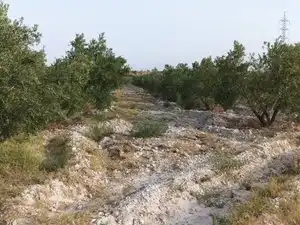 Terreno rustico in vendita a Calle General Q de Llano 34, imagen 13
