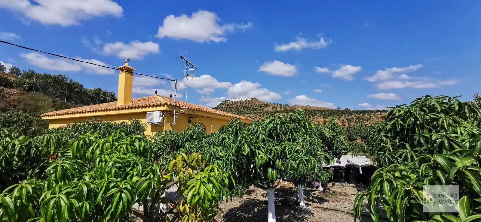 Casa o chalet en venta en Benamocarra