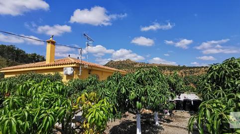 Foto 2 de Casa o chalet en venta en Benamocarra, Málaga