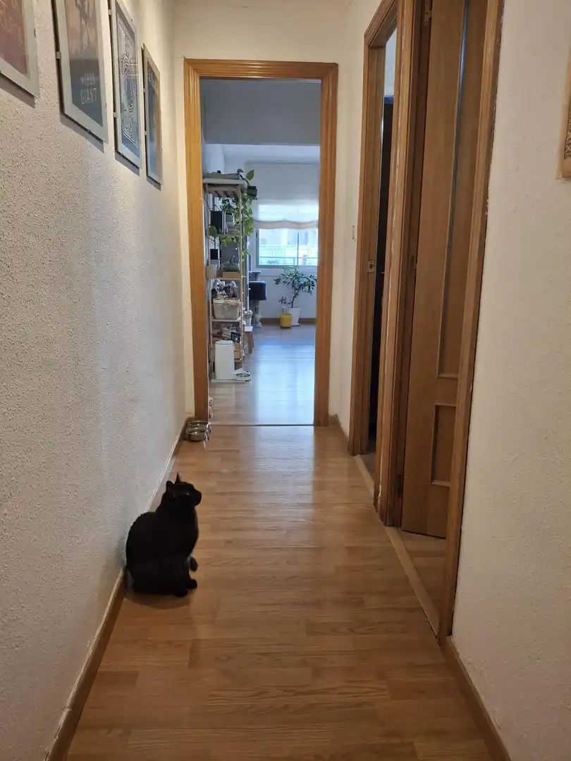 Piso en venta en Mataró con Aire acondicionado, Calefacción y Parquet