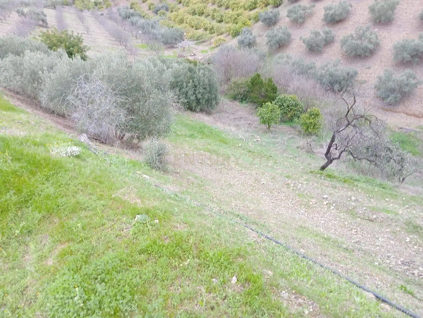 Casa o xalet en venda en Cártama amb Jardí privat, Traster i Piscina