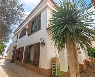 Exterior view of House or chalet for sale in El Rosario  with Private garden, Terrace and Storage room