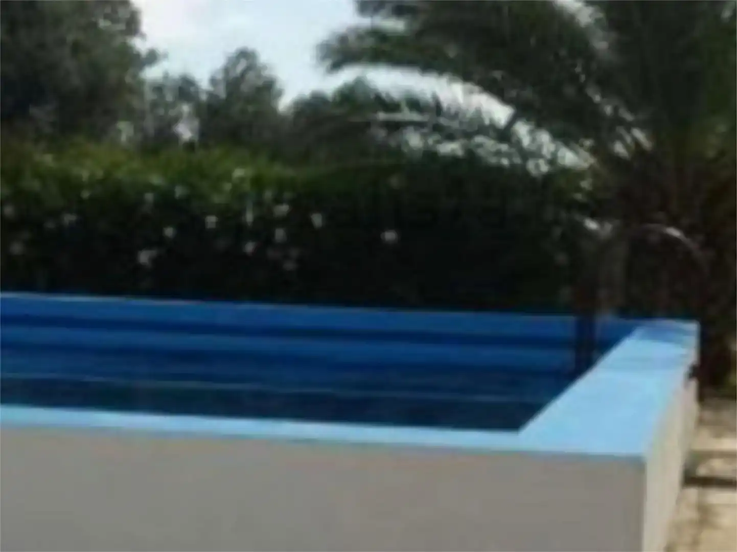 Piscina de Finca rústica en venda en Marchena amb Piscina i Moblat