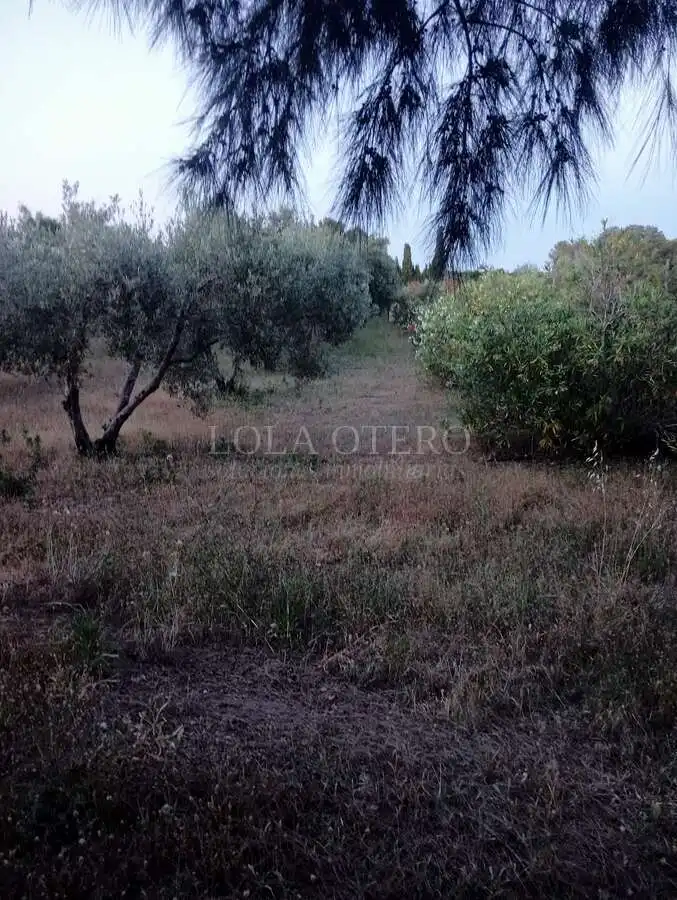 Villa à vendre à Centro, imagen 22
