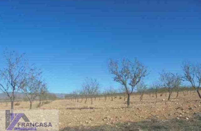 Terreno residencial en Venta en Jumilla