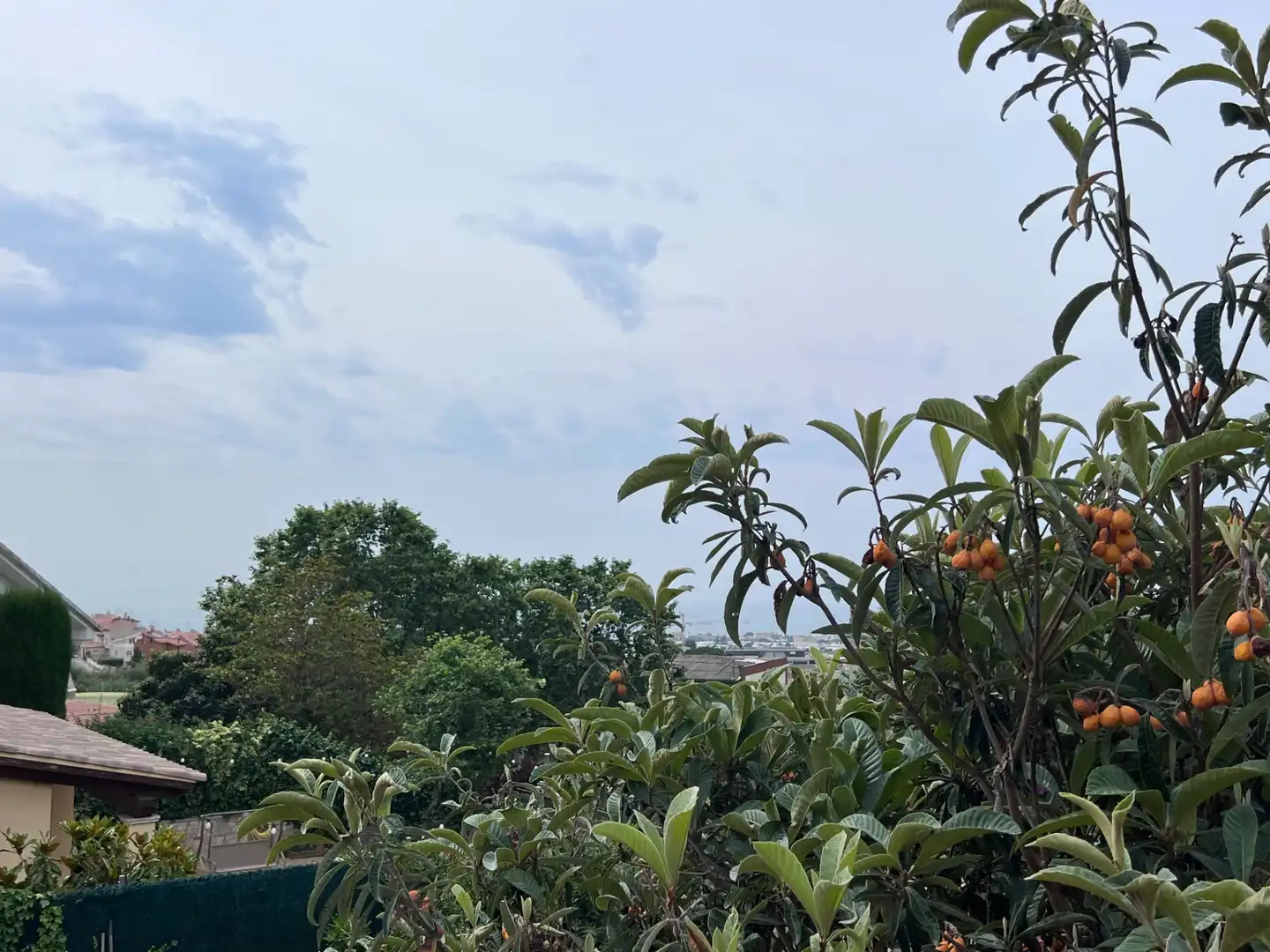 Jardí de Casa o xalet de lloguer en Vilassar de Dalt amb Calefacció, Jardí privat i Parquet