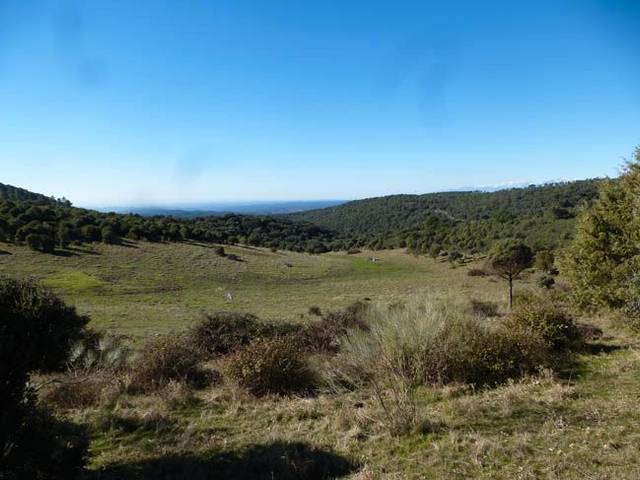 Terreno residencial en Venta en El Real de San Vicente