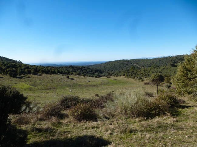 Residential for sale in El Real de San Vicente