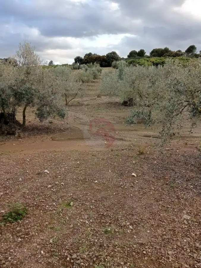 Terrenys i solars en venda a Coín, imagen 6