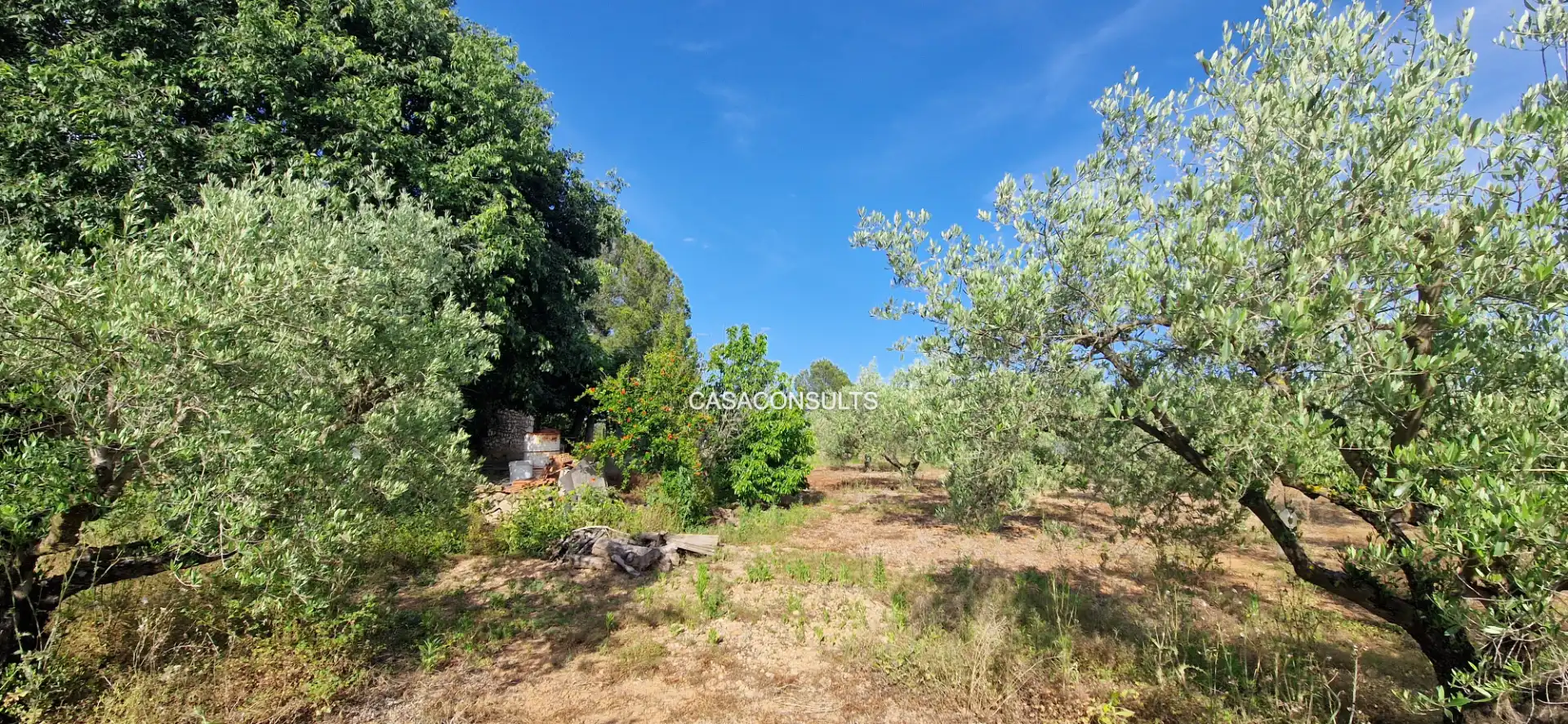 Casa rustica con terrazza in vendita a Vall d'Alba, imagen 20